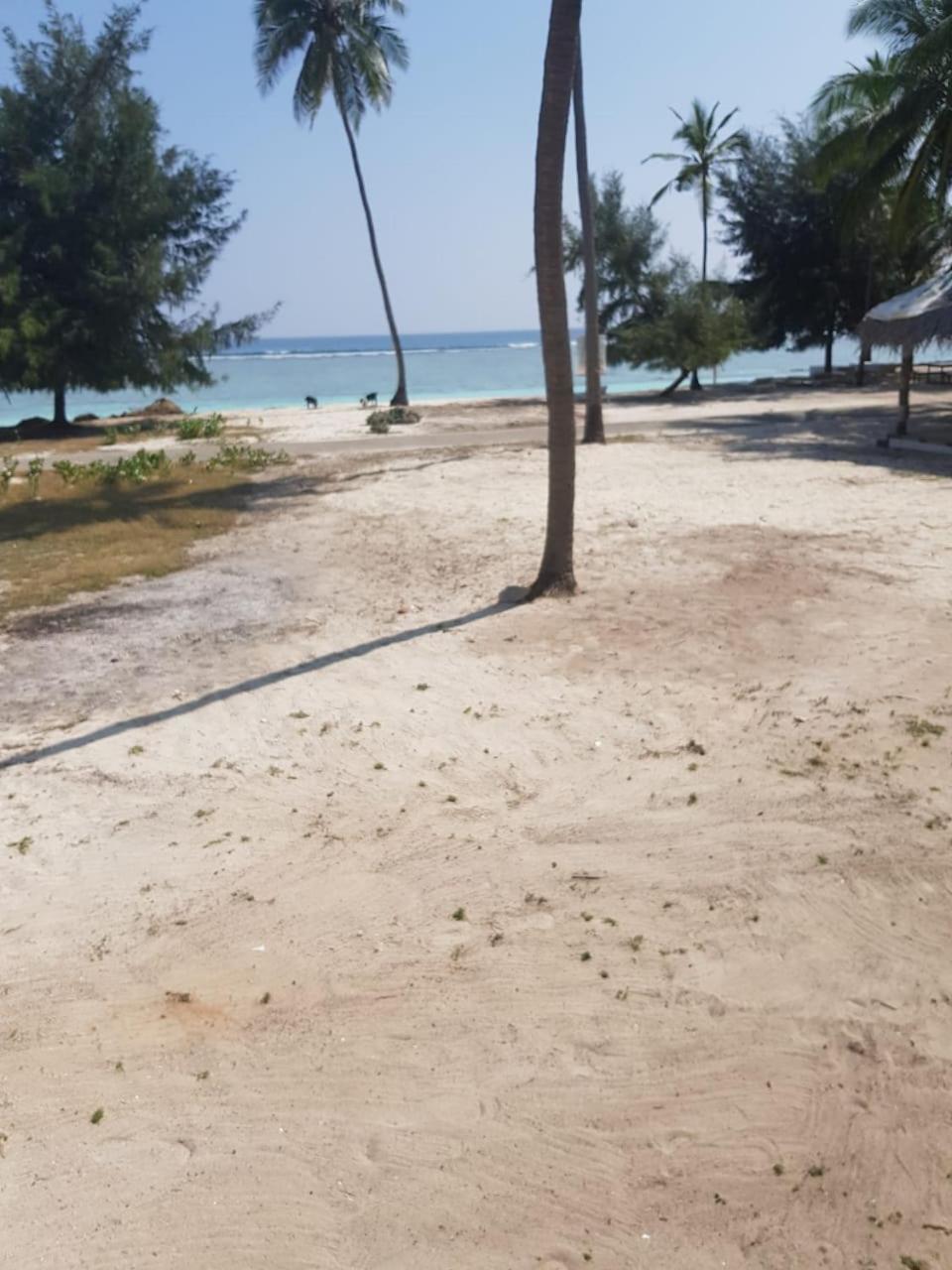 Flyzone Seashell Cottages Only For Indian Nationals With Valid Entry Permit Agatti Dış mekan fotoğraf